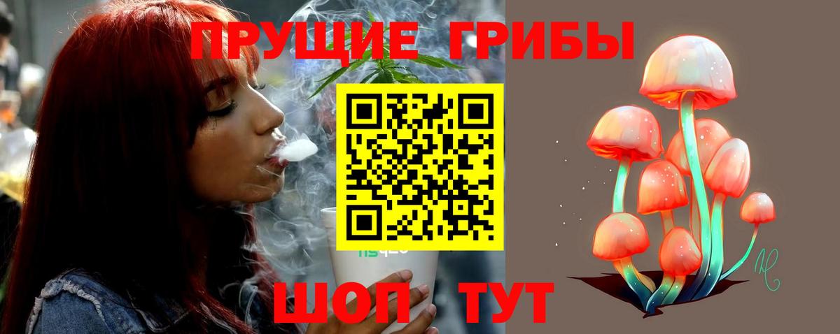 Галлюциногенные грибы мицелий  где купить наркотик  Кашира  Вход с VPN 